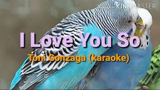 I LOVE YOU SO karaoke toni gonzaga [upl. by Issirk348]