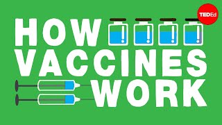 How do vaccines work  Kelwalin Dhanasarnsombut [upl. by Eamaj]