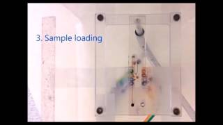 A fully automated microfluidic micellar electrokinetic chromatography analyzer for organic [upl. by Alayne]