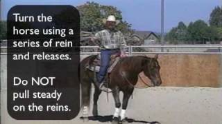 Reining Training Your Horse to Spin pt1 [upl. by Chrissa]