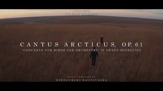 quotTo the Wonderquot Soundtrack  Cantus Arcticus [upl. by Mittel]