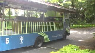 FIJI BULA BUS at Denarau [upl. by Amitak]