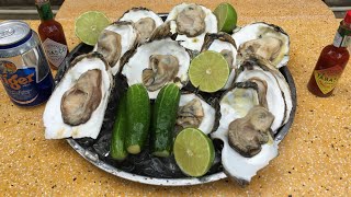 Raw oyster with Tabasco Sauce  No Talking [upl. by Rednav]