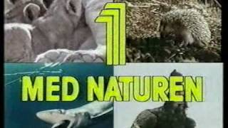 Ett med naturen  intro 1985 [upl. by Rivers]