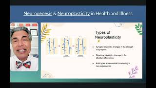 NEUROPLASTICITY and NEUROGENESIS Explained [upl. by Alexandr]