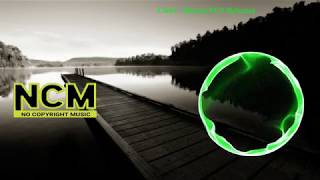 NIVIRO  Flashes  NCS 10 minutes  10 Minutes NocopyrightSounds NCM Remix [upl. by Aihsas]