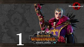 Total War Warhammer 3  Thrones of Decay  Elspeth von Draken Wissenland amp Nuln 1 [upl. by Alledi339]