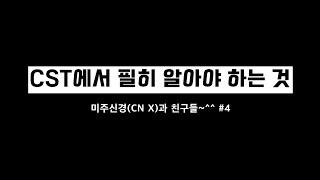 CST에서 필히 알아야 하는 것 미주신경과 친구들 4 [upl. by Ennasirk]