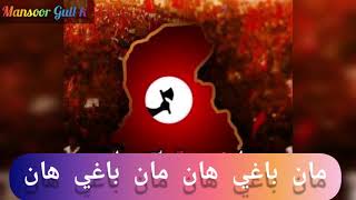 Baghii han manbaghi han new Sindhisong in music Faqeer Dildar otho [upl. by Annahsal397]