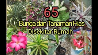 Namanama Bunga dan Tanaman Hias disekitar rumah [upl. by Esirahc]