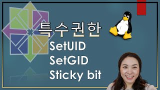 리눅스 기초  파일속성변경3 SetUID SetGID Sticky bit [upl. by Takakura]