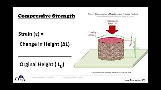 Biomechanics of fractures and fixation  1 of 4 [upl. by Ycam]