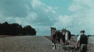 English Harvest 1938 [upl. by Annekim]