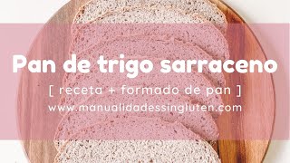 PAN DE TRIGO SARRACENO  sin gluten  sin huevo  sin lácteos [upl. by Longfellow]