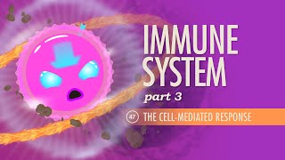 Immune System Part 3 Crash Course Anatomy amp Physiology 47 [upl. by Asseram]