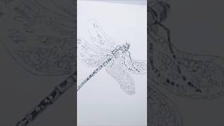 The secret of drawing a dragon butter fly is revealed [upl. by Dom]