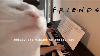 Phoebe Buffay  Smelly Cat on piano just because [upl. by Adriano820]