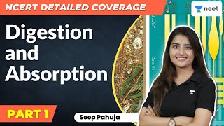 NCERT Detailed Coverage  Digestion amp Absorption  Part  1  NEET 20232024  Seep Pahuja [upl. by Laddy958]