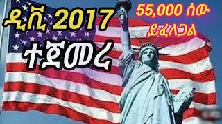 ዲቪ 20262017 ተጀመረ Dv 2026 beginingdv 2026 አስፈላጊ ዶክመንቶች [upl. by Penelopa500]