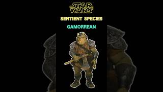 Star Wars Sentient Species Gamorrean starwars shorts starwarsfacts [upl. by Jaquiss6]