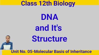 DNA and Its StructureClass 12th Biology [upl. by Romilly]