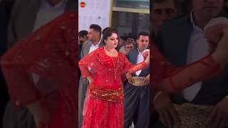 halparke dance kurdishdance [upl. by Cirri]