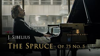 Jean Sibelius  The Spruce Op 75 No 5  Janne Mertanen piano BMPCC 4K Cinematic Music video [upl. by Kenta]