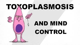 Toxoplasmosis and Mind Control  Plain and Simple [upl. by Llyrad145]