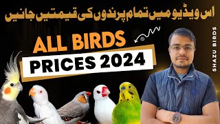 All Birds Prices 2024  Lovebirds  Java Sparrow  finches  Budgies Cocktails  Dove rates [upl. by Egief787]