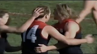 1993 Rd 16  Rod Grinter  2 goals  Melbourne v Hawthorn MCG [upl. by Eirrehs]