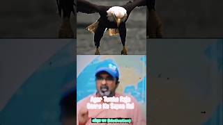 😈🔥Best motivational by Ogha sir 😈💪 [upl. by Trilbee431]