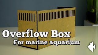 Aquarium Overflow Box [upl. by Nim]