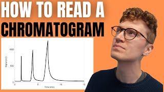 HOW TO READ A CHROMATOGRAM StepByStep Guide For Beginners [upl. by Low]