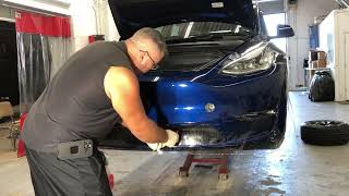 Suntek PPF Tesla Model Y Bulk Wrap Front Bumper Start to Finish [upl. by Aira368]