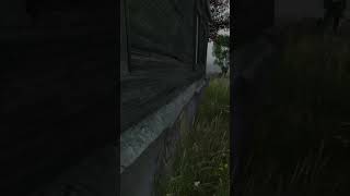 DayZ Gives You Trust Issues [upl. by Glimp74]