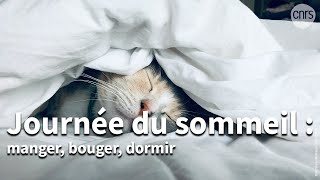 Journée du sommeil  manger bouger dormir [upl. by Peltz]