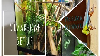 Vivarium Setup  Bamboo Forest for Phelsuma Klemmeri [upl. by Htenek]