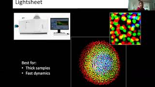 live cell imaging photobleaching and phototoxicity [upl. by Aro659]