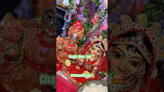 Lado ki chathi ki bhog thali krishnadevotee7 laddugopal radheshyam radheradhe krishna [upl. by Neirrad16]