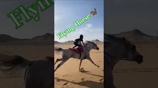 Flying Horse 🐎 🪂🪂 horseing love horse 💝 horses ytshorts viralvideoシ [upl. by Zicarelli]