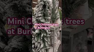 Mini Christmas trees at Burlington christmas merrychristmas [upl. by Mini]