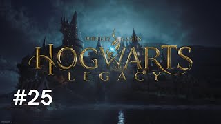 Hogwarts Legacy Gameplay Part 25  Flight Challenges and A Battle Arena [upl. by Firooc]