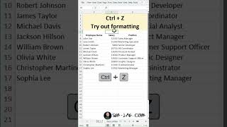 Excel Shortcut Ctrlz applications excel [upl. by Ennirac]