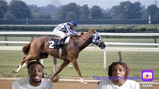 First Time Reacting to Secretariat  Triple Crown Races  High Quality Rare Footage [upl. by Nithsa]