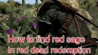 how to find red sage in red dead redemption [upl. by Gnoy]