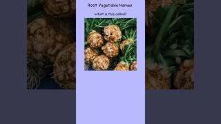 Indian common Root Vegetable Names english indianvegan vegetables vocabulary [upl. by Fermin904]