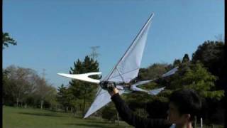 Pteranodon 97  RC Ornithopter Test Flight 5 [upl. by Dolloff612]