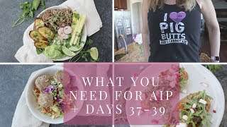 What you need to start AIP  What I ate Days 3739 [upl. by Barabas]