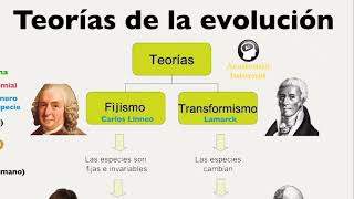 Teorias de la evolucion fijismo transformismo evolucionismo Linneo Darwin Neodarwinismo [upl. by Amlet]