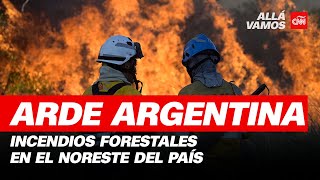 Arde el noreste de Argentina así son los impactantes incendios forestales [upl. by Gona]